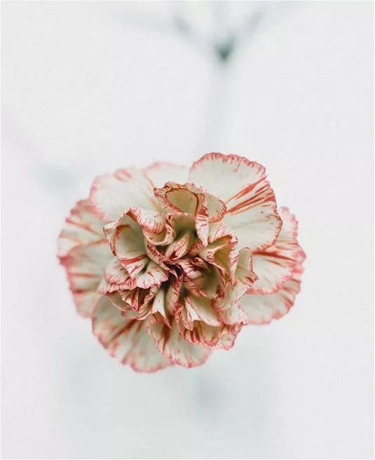 堵奶了怎么办才能让奶水变少,堵奶怎么办会引起溢奶吗