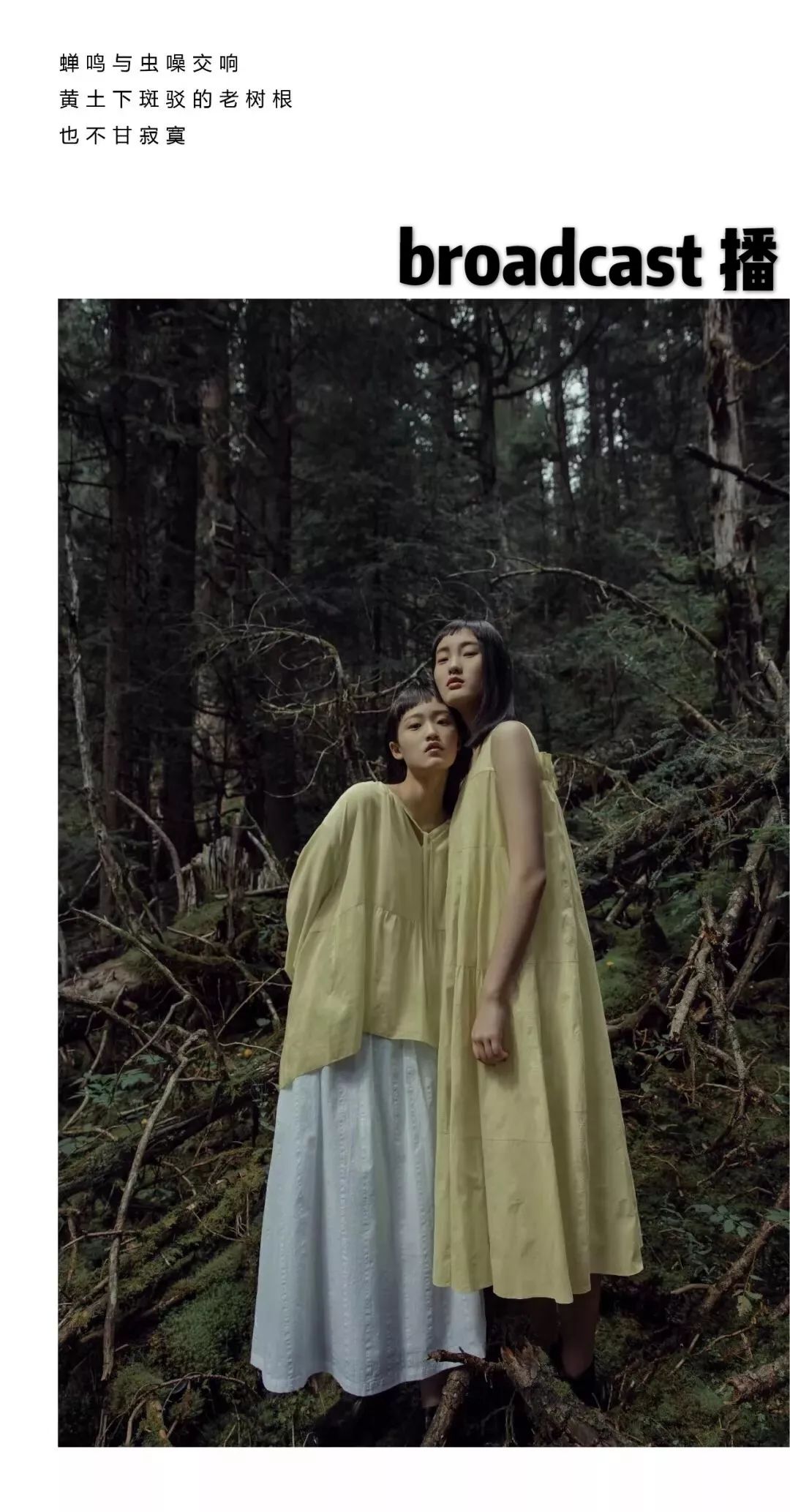 玉林网红打卡点格桑花景区,玉林打卡网红地古镇