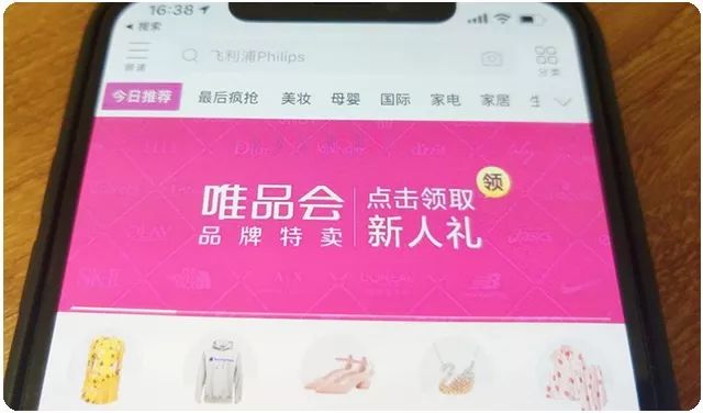 橄榄生长省份,橄榄生长在土里么