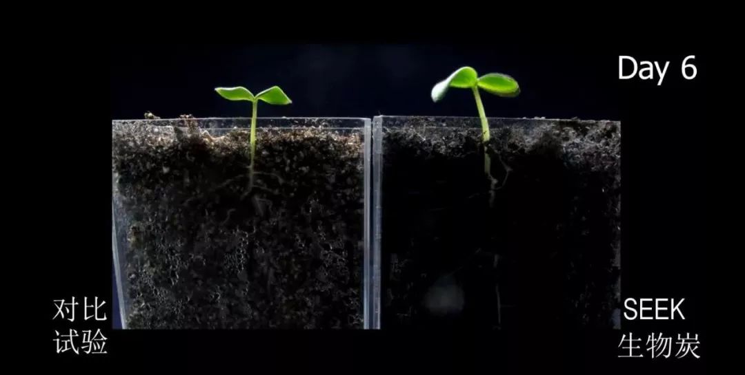 怎样有效的增加土壤的碳元素,土壤中缺了有机质会怎么样