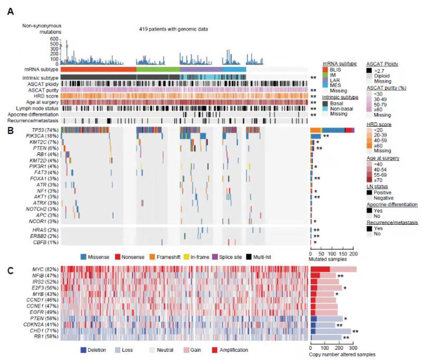复旦大学附属肿瘤医院乳腺癌疗效赶超美国