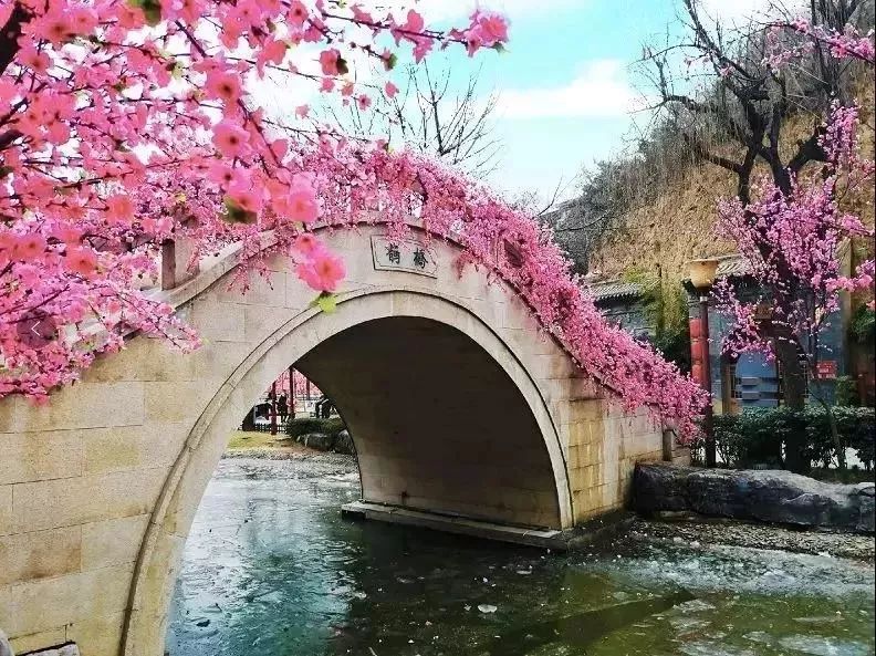 旅游微刊|西安的春天是粉色的！