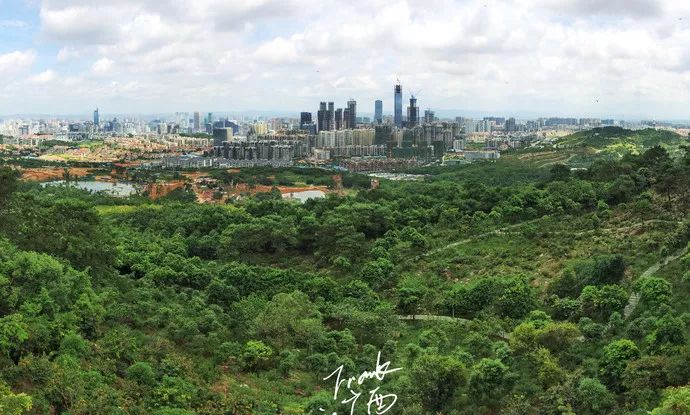 2017年南宁中国杯国际足球赛,中国广西南宁中国杯