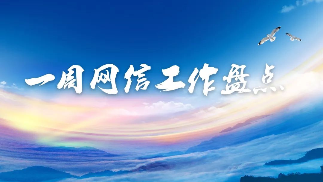 11月网信工作一览,2020年网信工作盘点