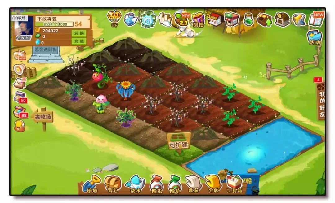 再见了qq,再见了琪琪原版