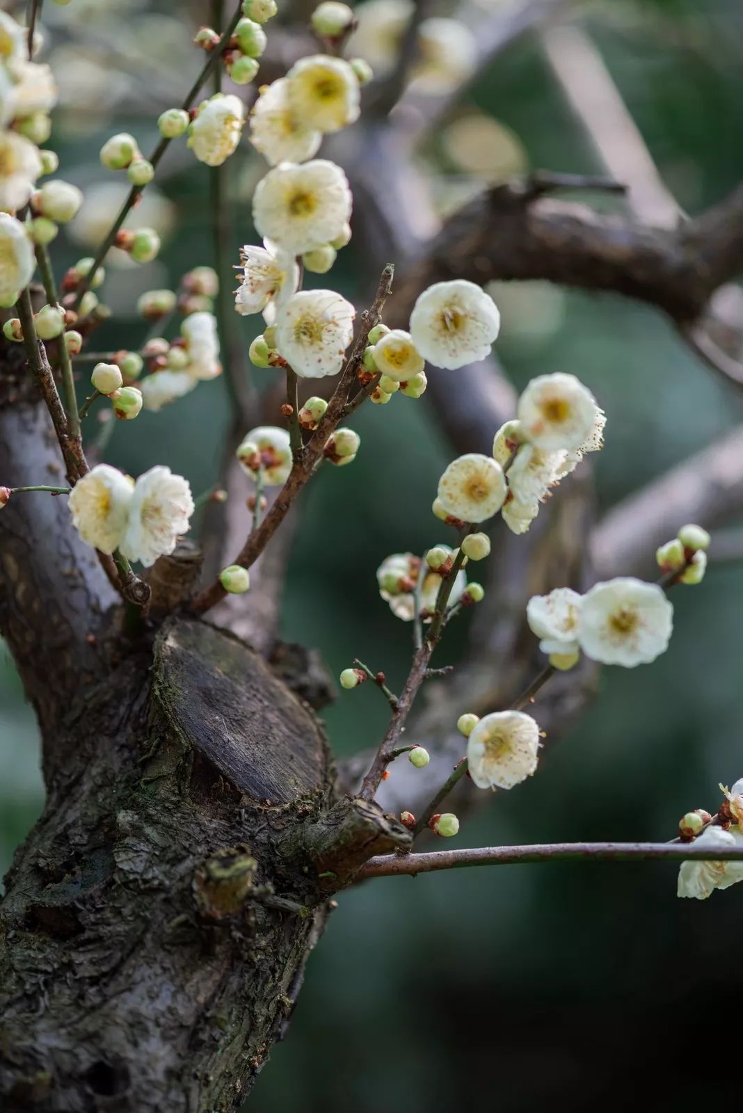腾讯、联通、新东方都准备来华师“抢人”，本周就业讲座通知汇总，赶紧安排一下！