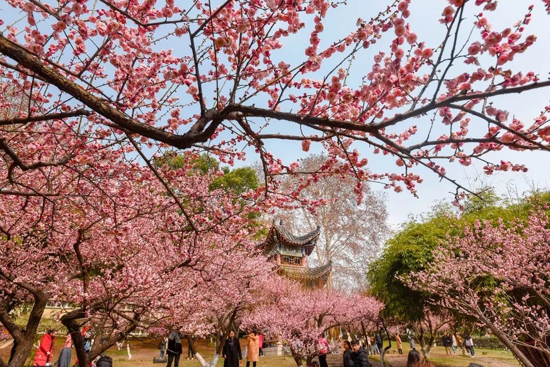 腾讯、联通、新东方都准备来华师“抢人”,本周就业讲座通知汇总,赶紧安排一下!