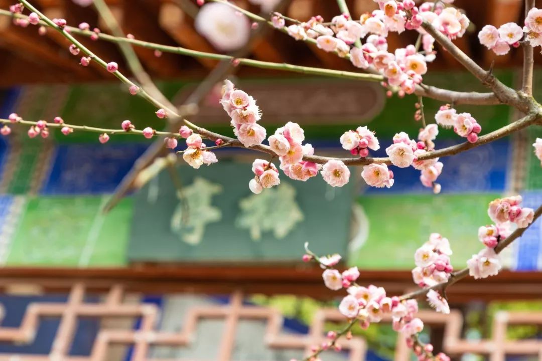 腾讯、联通、新东方都准备来华师“抢人”，本周就业讲座通知汇总，赶紧安排一下！