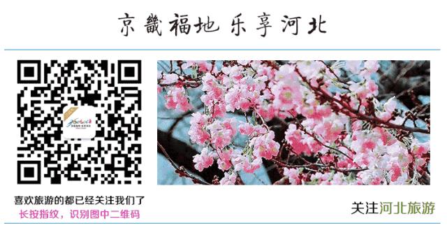 漫游乐动运动嘉年华沧州,漫游乐动运动嘉年华免费