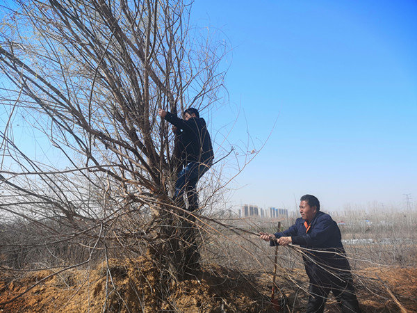 斥巨资改造弃土场成生态农业示范园，这家豫企为啥做“赔本买卖”？