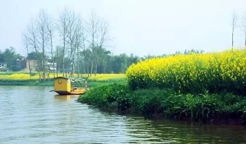 重庆最新旅游大全,重庆全集免费观看