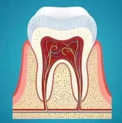 有一种痛叫做拔智齿的痛,有种疼叫智齿疼6种情况果断拔掉