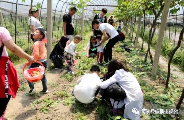 南陵新打卡游玩地方,南陵有哪些旅游村