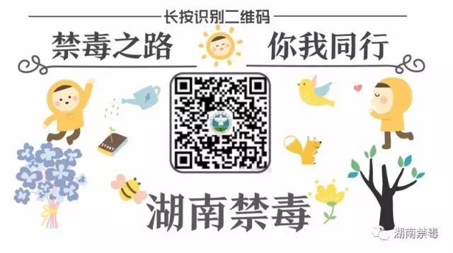 鱼蛋是不是高蛋白质食物,鱼蛋的蛋白质是多少