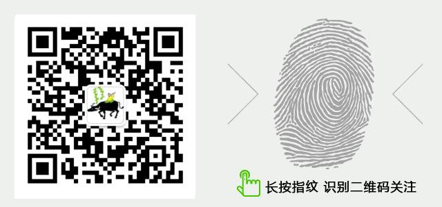 母牛提高产奶量的最佳方法,母牛养殖14个方子