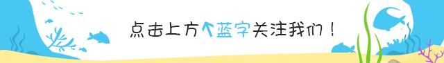 海金鱼状态不好怎么处理,草金鱼养着养着褪色了是怎么回事