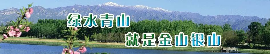 延庆区医院发生重大伤医事件,延庆医院医疗事故