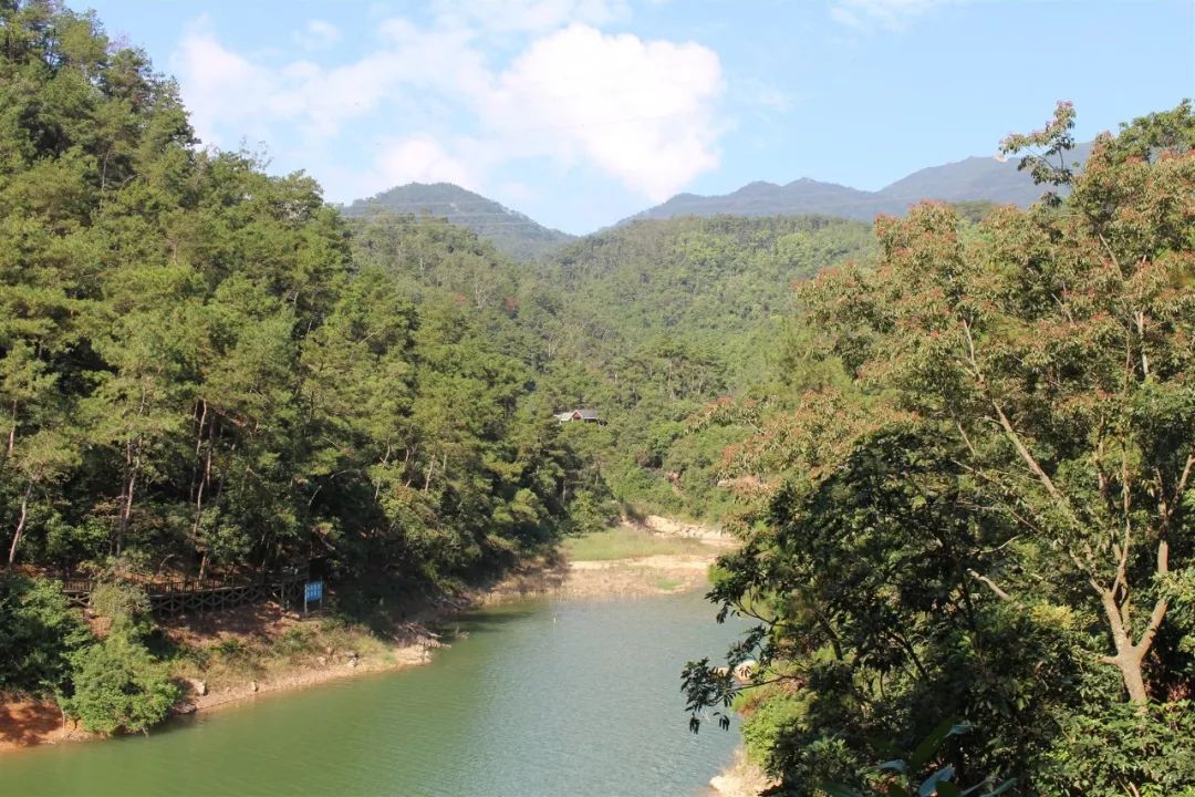 适合踏春的景点厦门,厦门春季旅游攻略