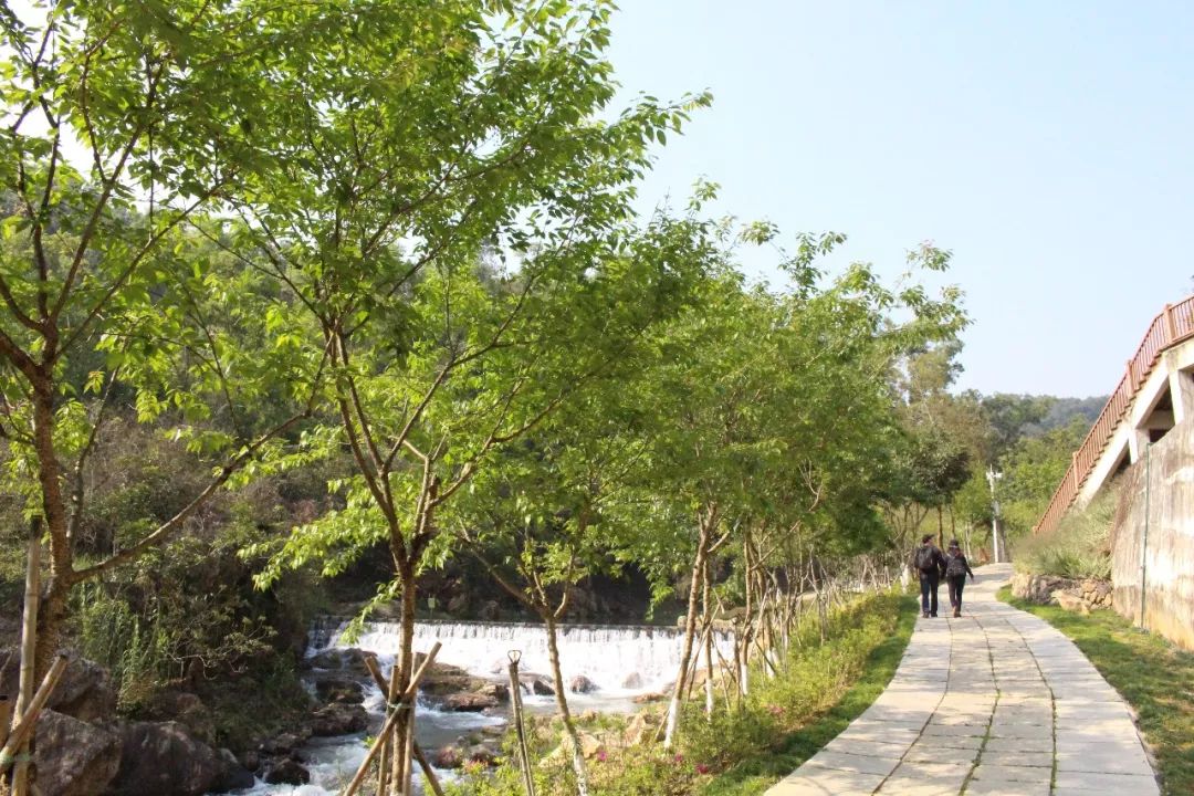 适合踏春的景点厦门,厦门春季旅游攻略