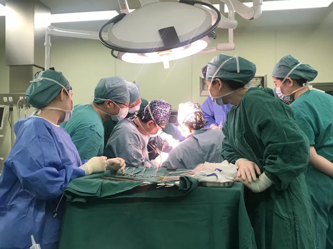 肝包虫手术切除简报,切除肝肿瘤第一视角