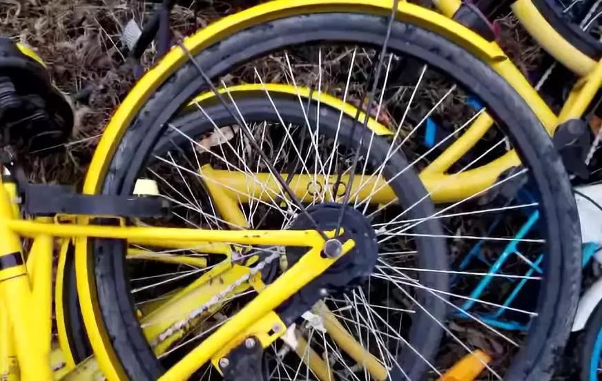 东阳24小时投诉举报电话,浙江东阳市网上举报视频