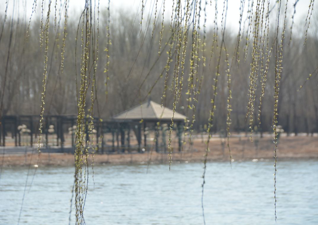 减河暗沟,减河简介