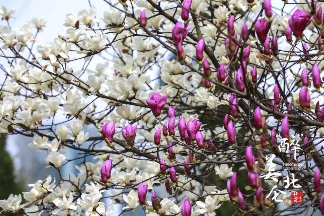 北仑清明游玩,下周北仑旅游景点