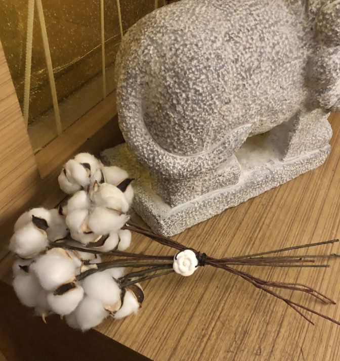 这大概是全世界最无聊的人了