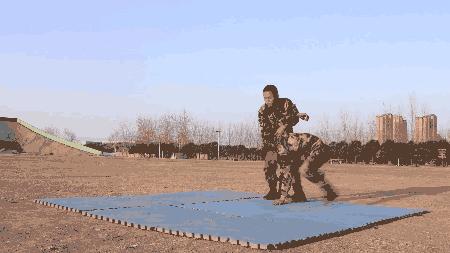 动图强势,兵哥哥动图