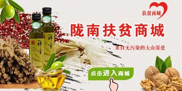 甘肃陇南市成县机场航班列表,陇南成县机场都有哪些航班