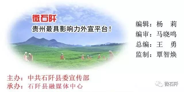 贵州绿茶哪个最好,中国绿茶产区分布图