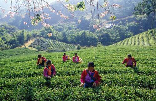 沈阳到张家界旅游专列价格,旅游专列沈阳出发5月14日价格
