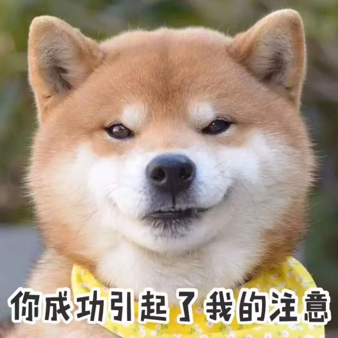 优衣库有骑行服吗,优衣库冬季骑行穿搭