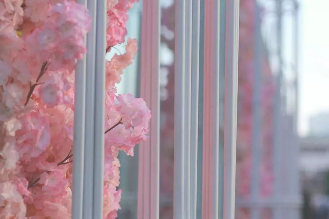 最高79元福利怎么领,福利优惠有多少