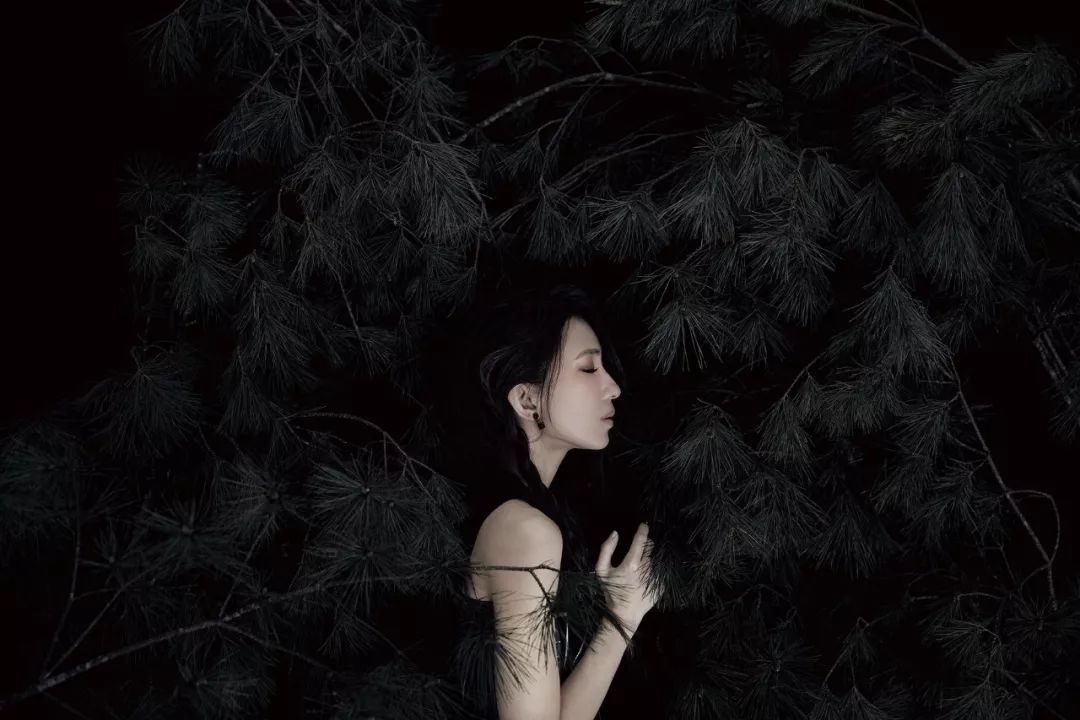 24首经典华语女声,经典女声50首