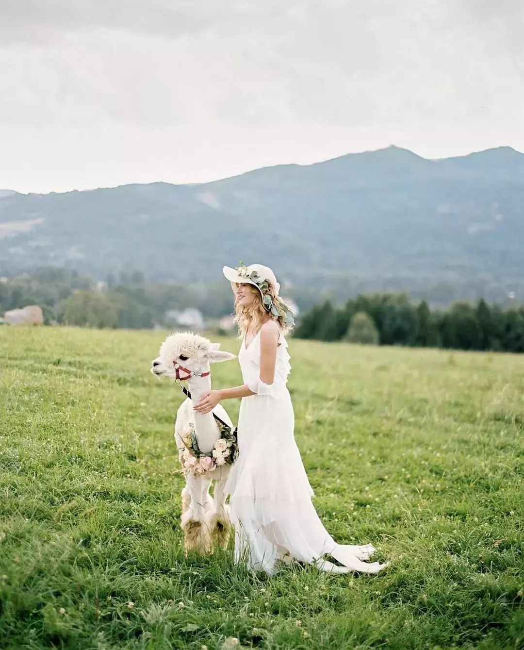 简单好看的婚纱画法,婚纱照风格搭配推荐
