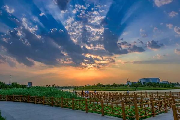 郑州周边踏青采摘野菜,郑州自驾踏青赏花好去处