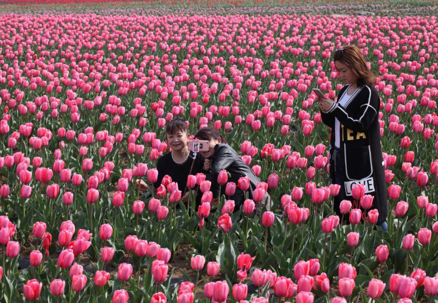 全城招募！中原银行首届汉服形象大使选拔开始啦！