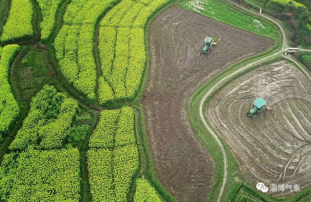 春分节气天气如何,春分节气昼夜记录表