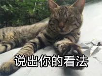 淮北淮海路天桥是谁建的,淮北立交桥什么时候建的