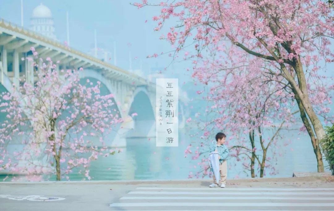 螺蛳粉征服世界,螺蛳粉征服全世界