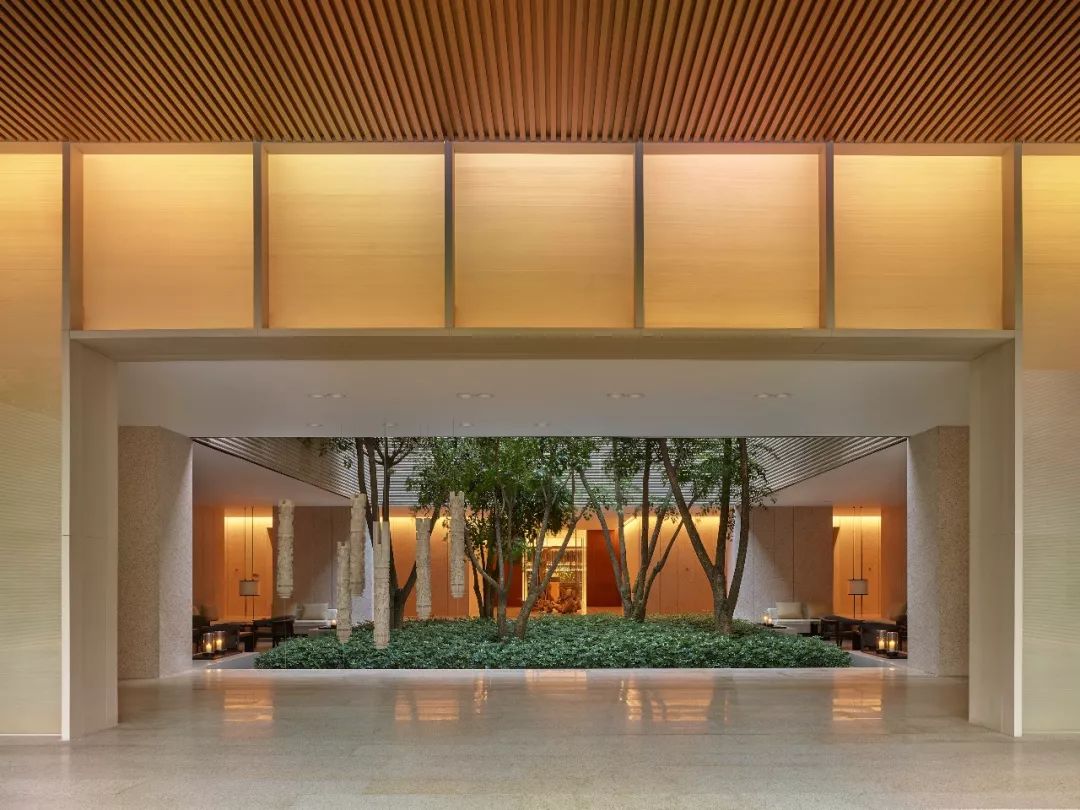 打卡厦门恒禾七尚酒店,厦门璞尚酒店点评