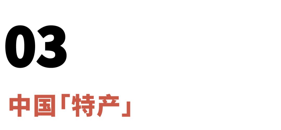 外贸爆单产品大全,外贸超强尾货