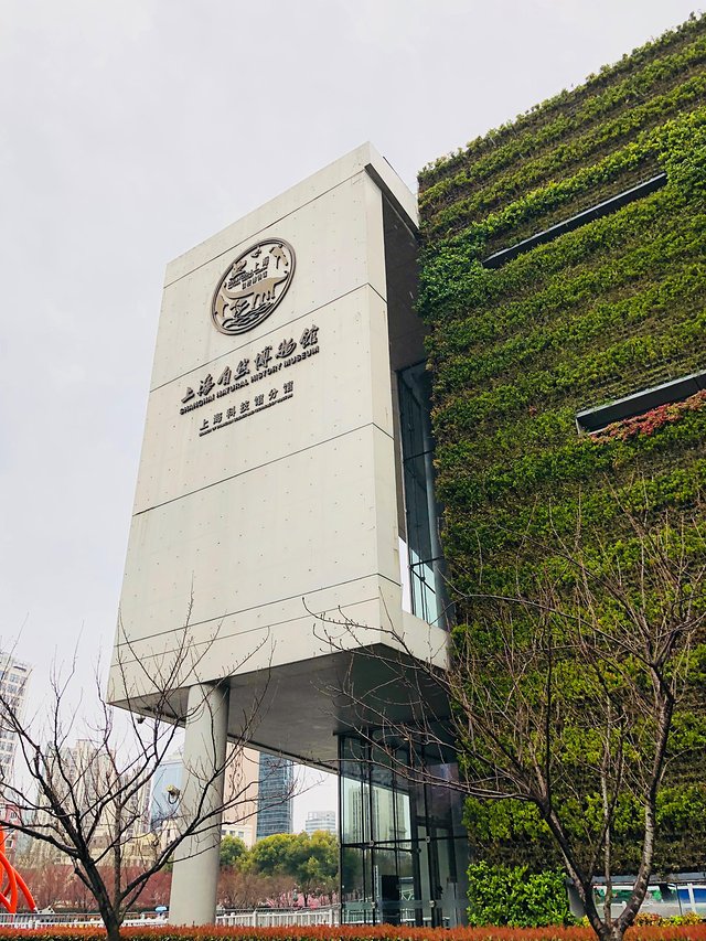 缓慢游玩迪士尼,慢慢悠悠的游玩