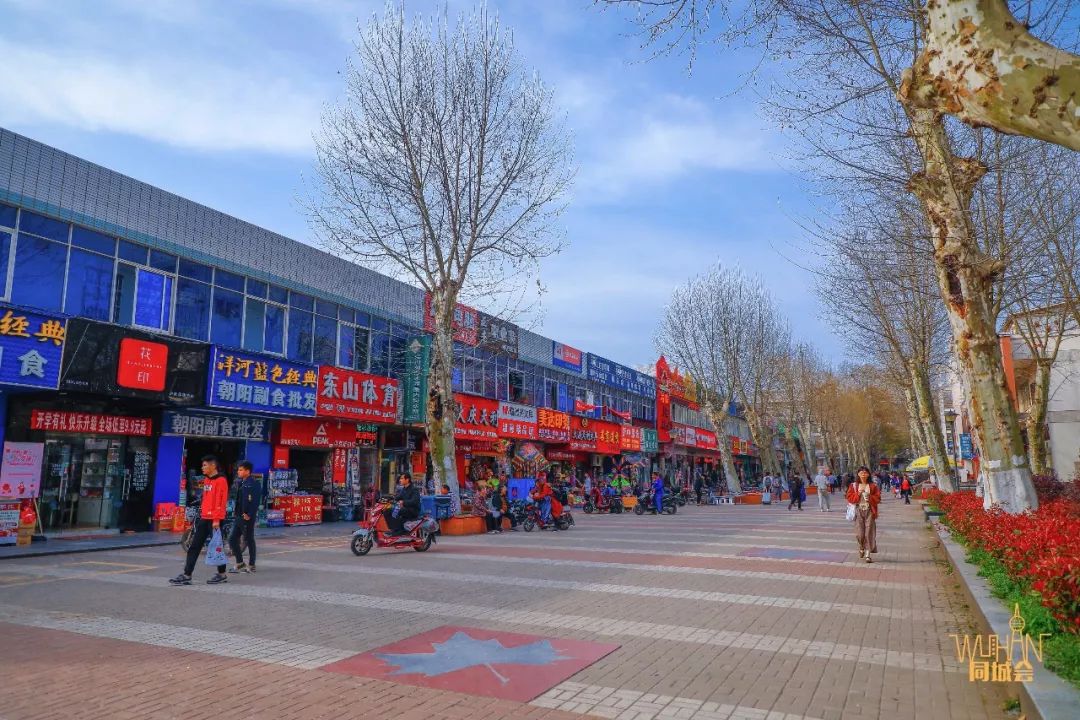 华中农业大学校园到底有多美,华中农业大学园艺林学院