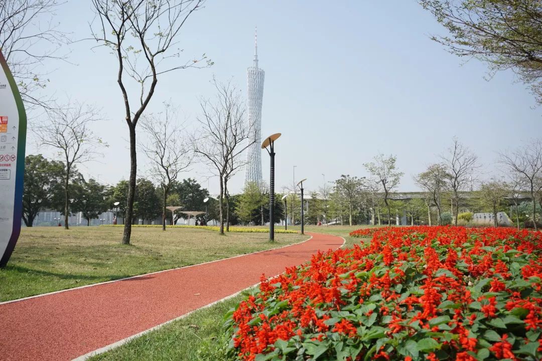 广州天河的绿道,天河绿道