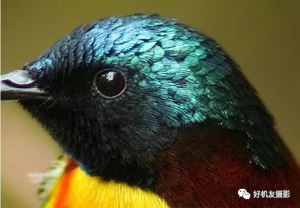 拍出的效果没有实物效果,拍出质感照片