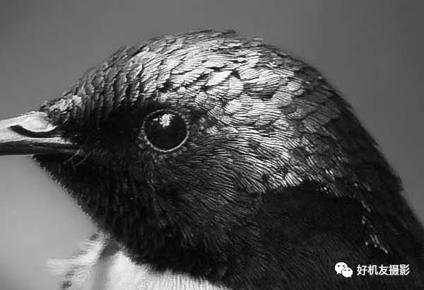 拍出的效果没有实物效果,拍出质感照片