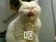 饭后三个表现说明胃癌的前兆,早期胃癌饭后出现什么征兆