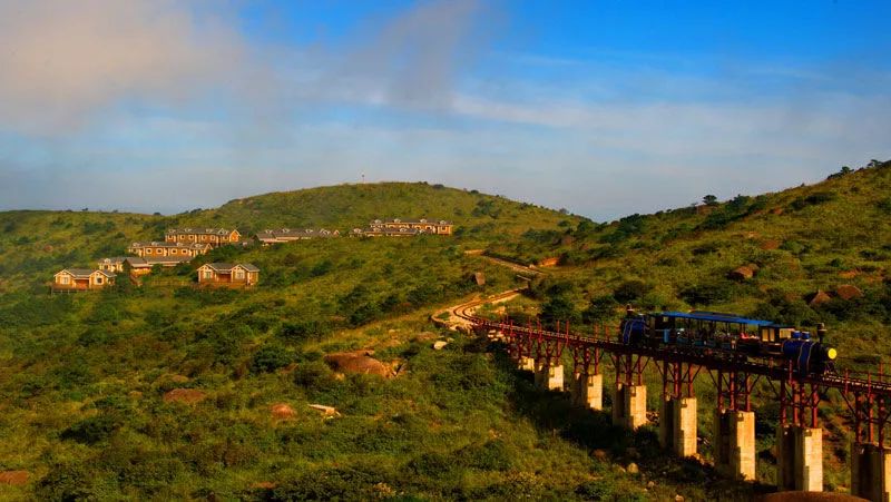 福建树屋酒店推荐,福建特色树屋民宿度假屋特点